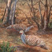 7 ~ Brenda Menzel ~ Mallee Fowls ~ Oil